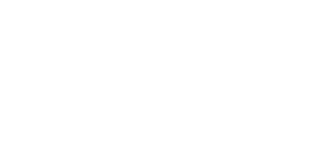 rz elsold logo white transparent
